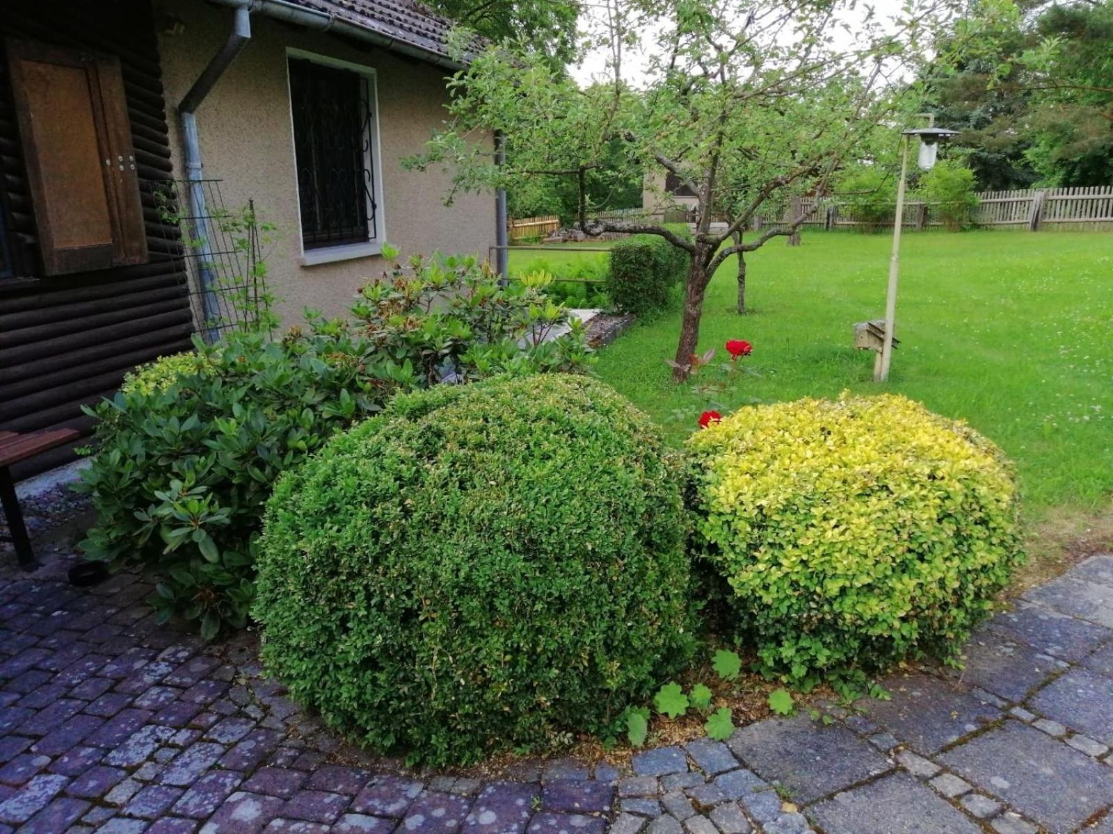 Hasenecke Villa Bad Salzungen Eksteriør billede